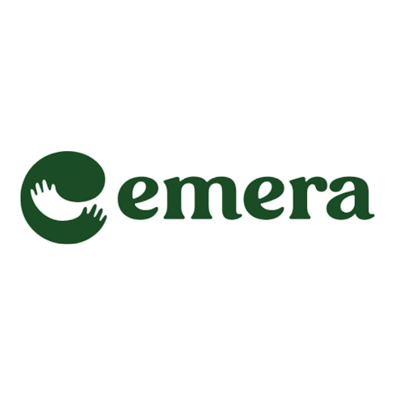 Free AI Chatbot for Websites — No Code, Live in Minutes 37 Emera.in